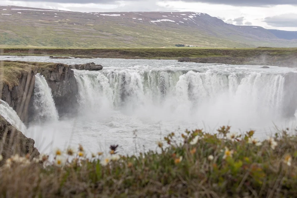 Grande cascade en arc avec brume et végétation fleurie au premier plan