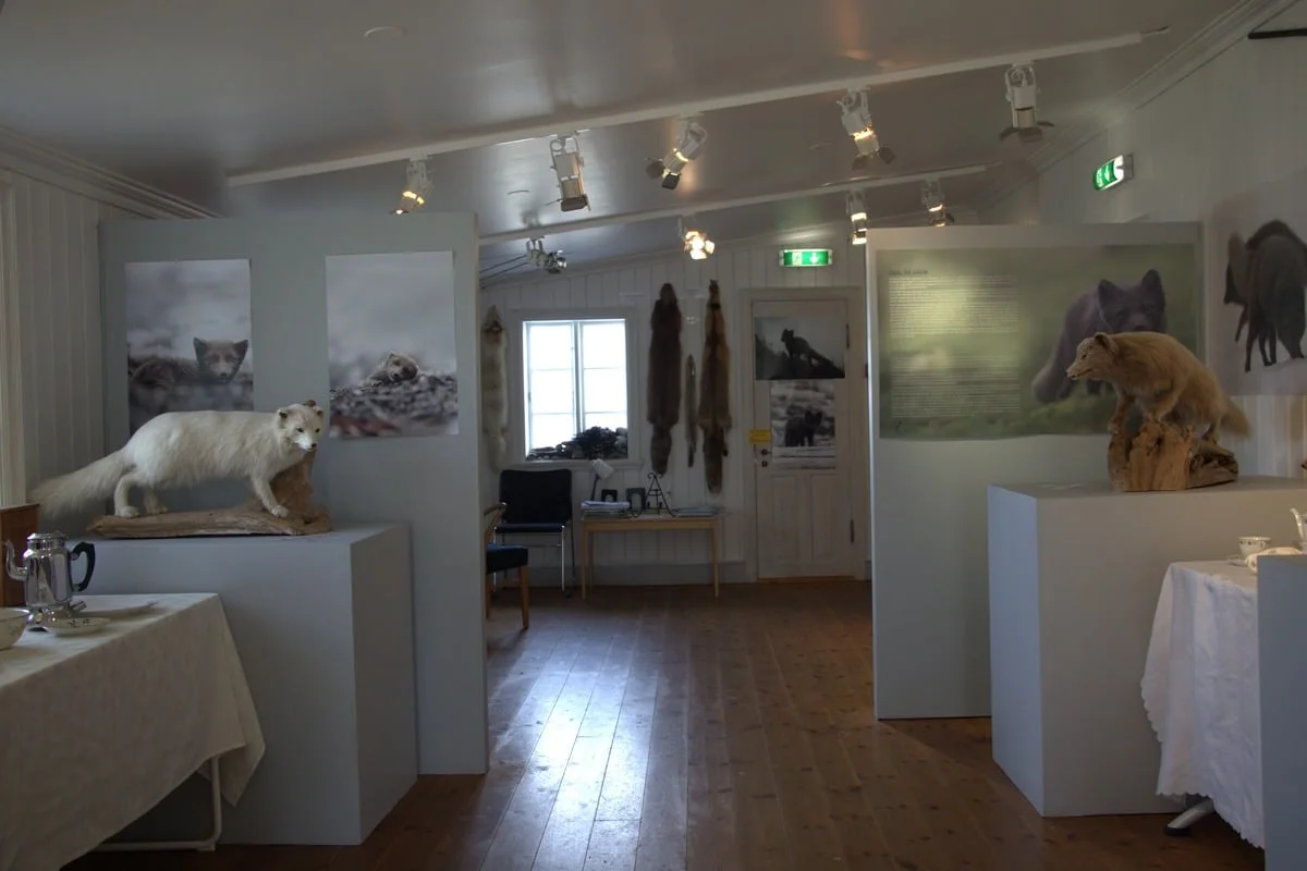 Salle d'exposition avec animaux naturalisés et panneaux sur la faune