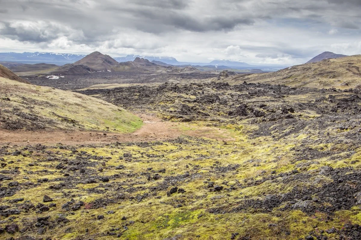 Vaste champ de lave noir recouvert de mousse verte avec montagnes