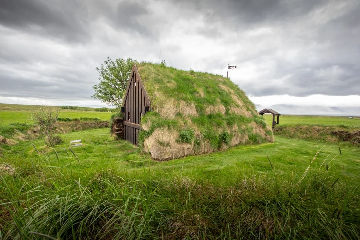 Ancienne église avec toit recouvert de végétation verte