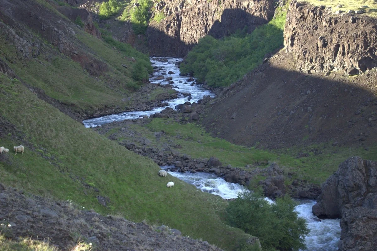 Rivière serpentant dans un canyon rocheux
