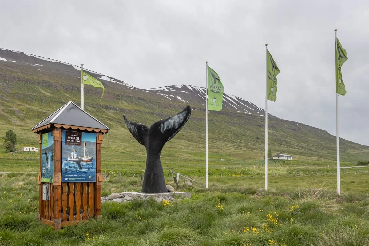 Sculpture de queue de baleine noire entourée de drapeaux et kiosque en bois