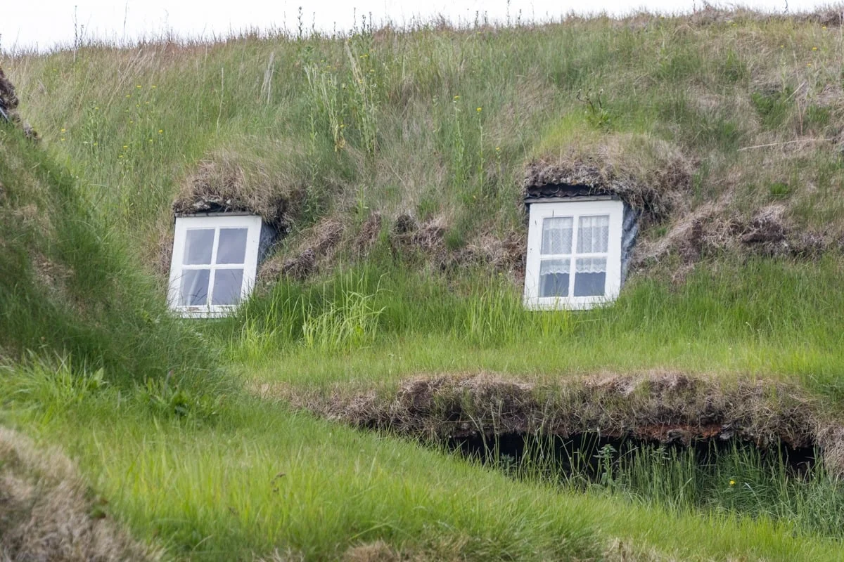 Deux petites fenêtres blanches enchâssées dans un toit recouvert de tourbe et d'herbe