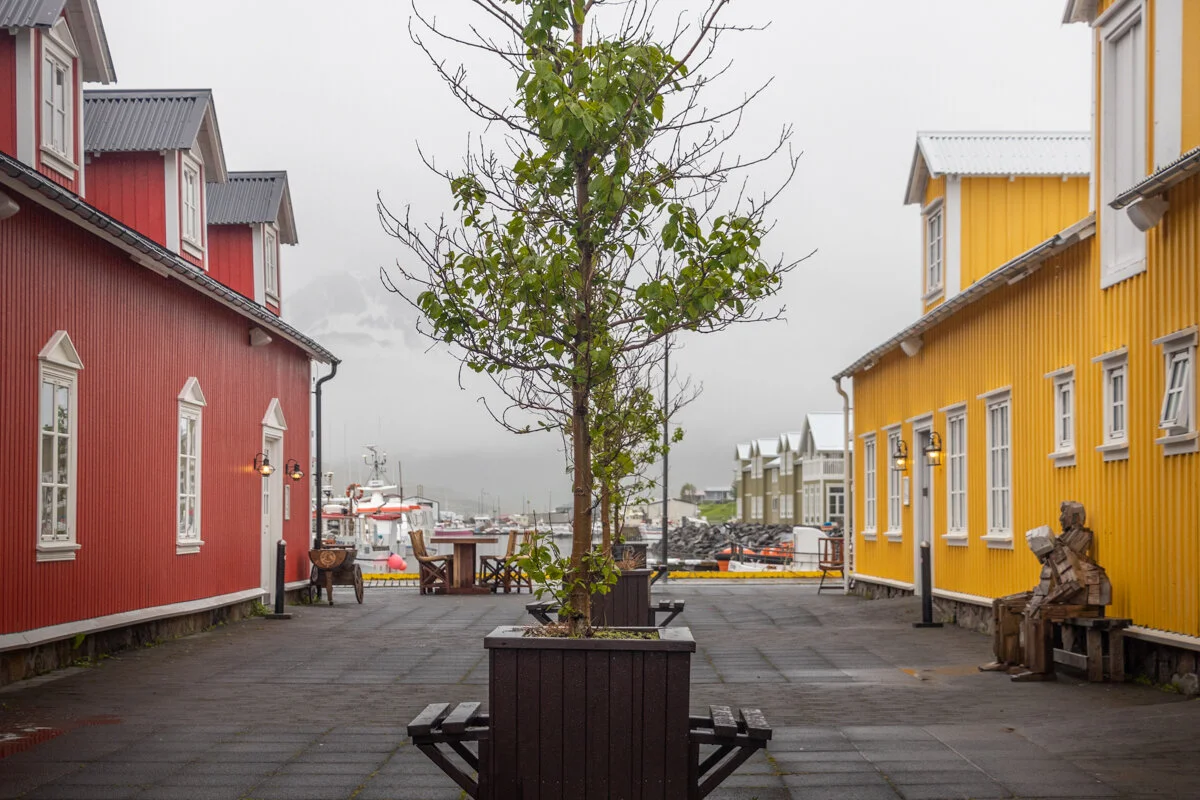 arbre en pot au centre d'une place entre maisons colorées