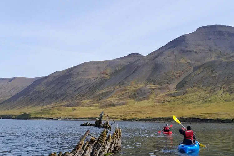 deux kayakistes naviguent sur un fjord l'été