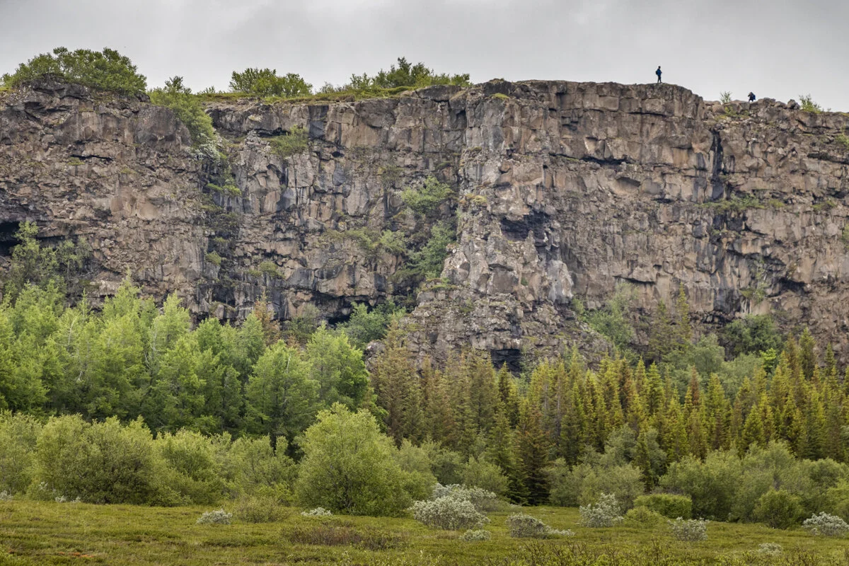 falaise rocheuse avec végétation dans le canyon d'Asbyrgi