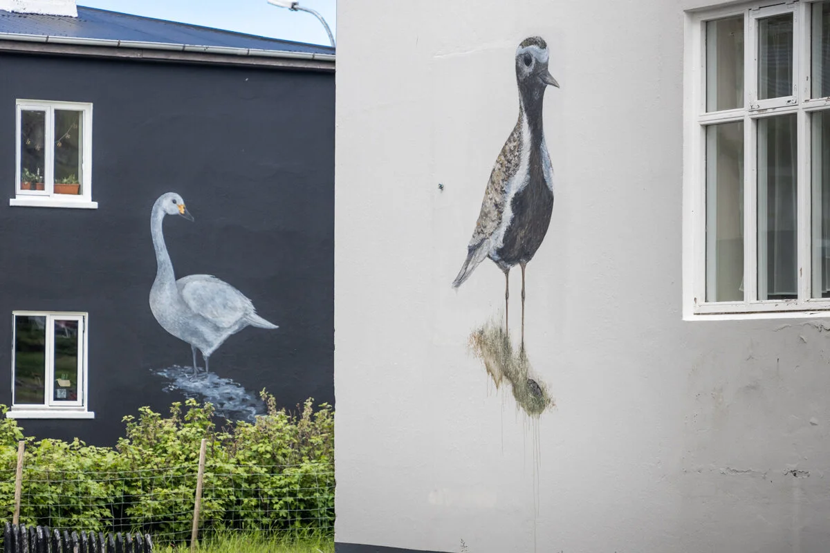 deux murales représentant des oiseaux sur des façades de bâtiments