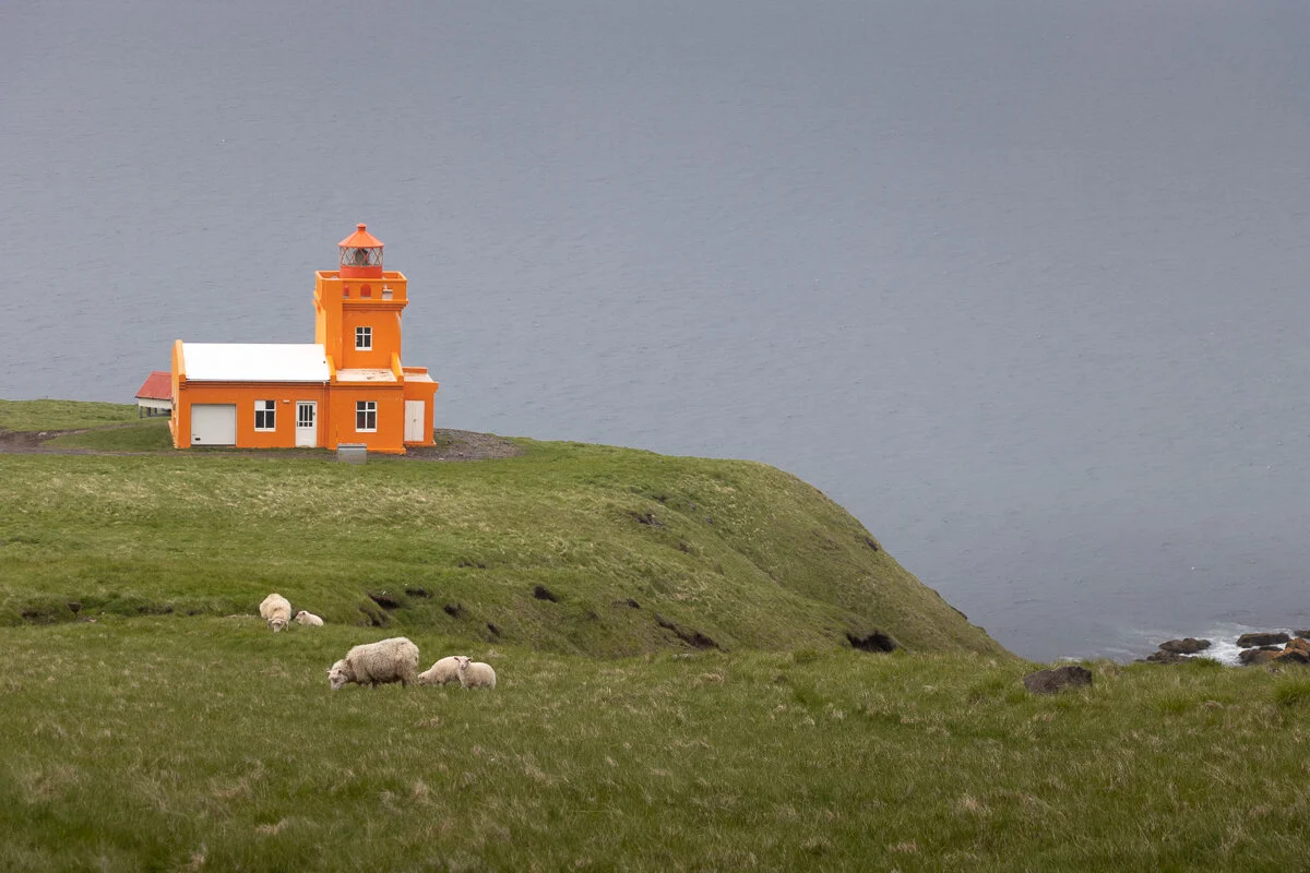 phare orange sur une colline avec des moutons