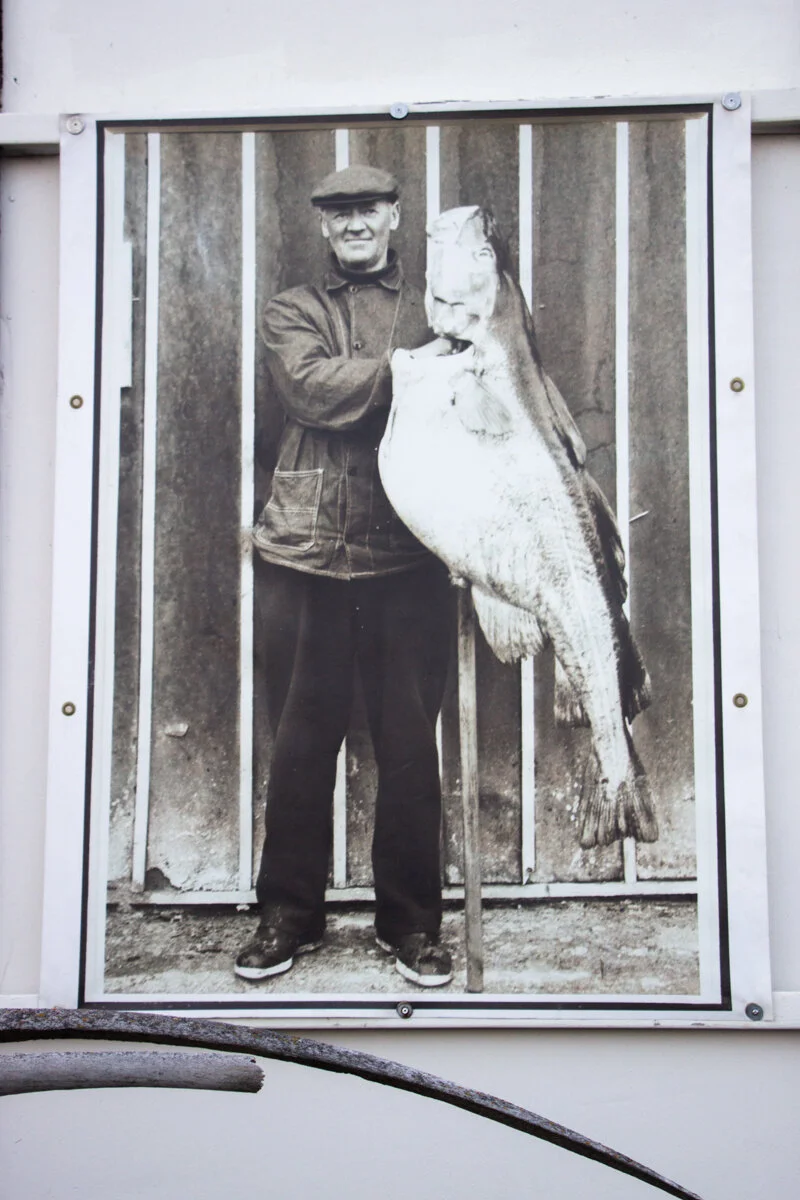 photo d'un homme qui tient un grand poisson