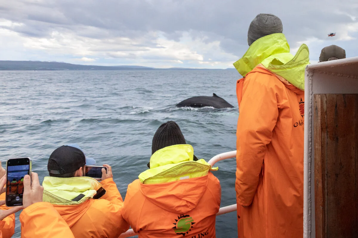 des touristes en gilets de sauvetage observent une baleine debout depuis le bateau