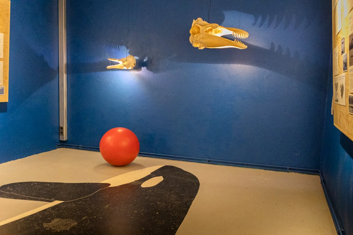 dans une pièce du musée peinte en bleu