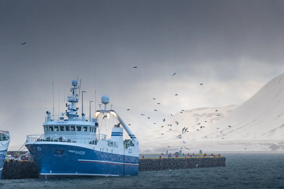 navire de pêche bleu en mer avec des oiseaux