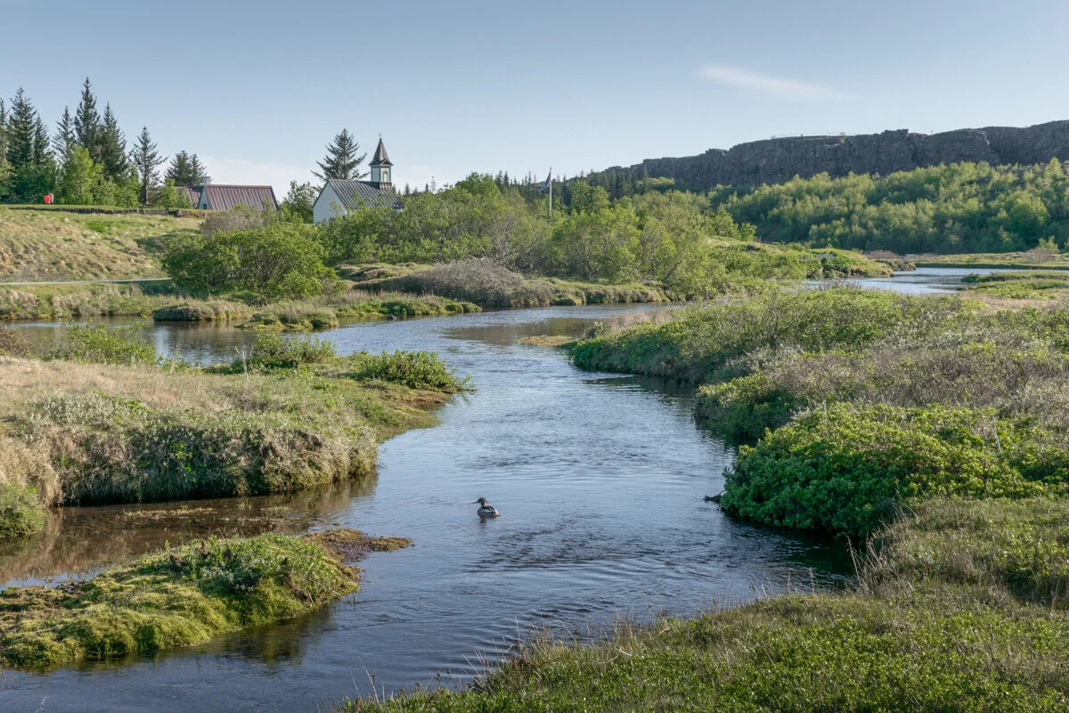 une rivière sinueuse traversant une vallée boisée