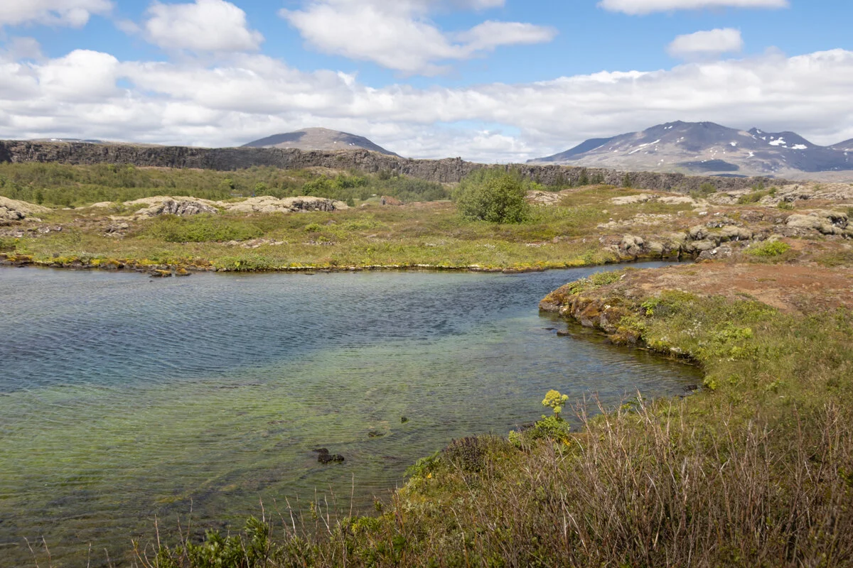 un lac entouré de végétation et de montagnes