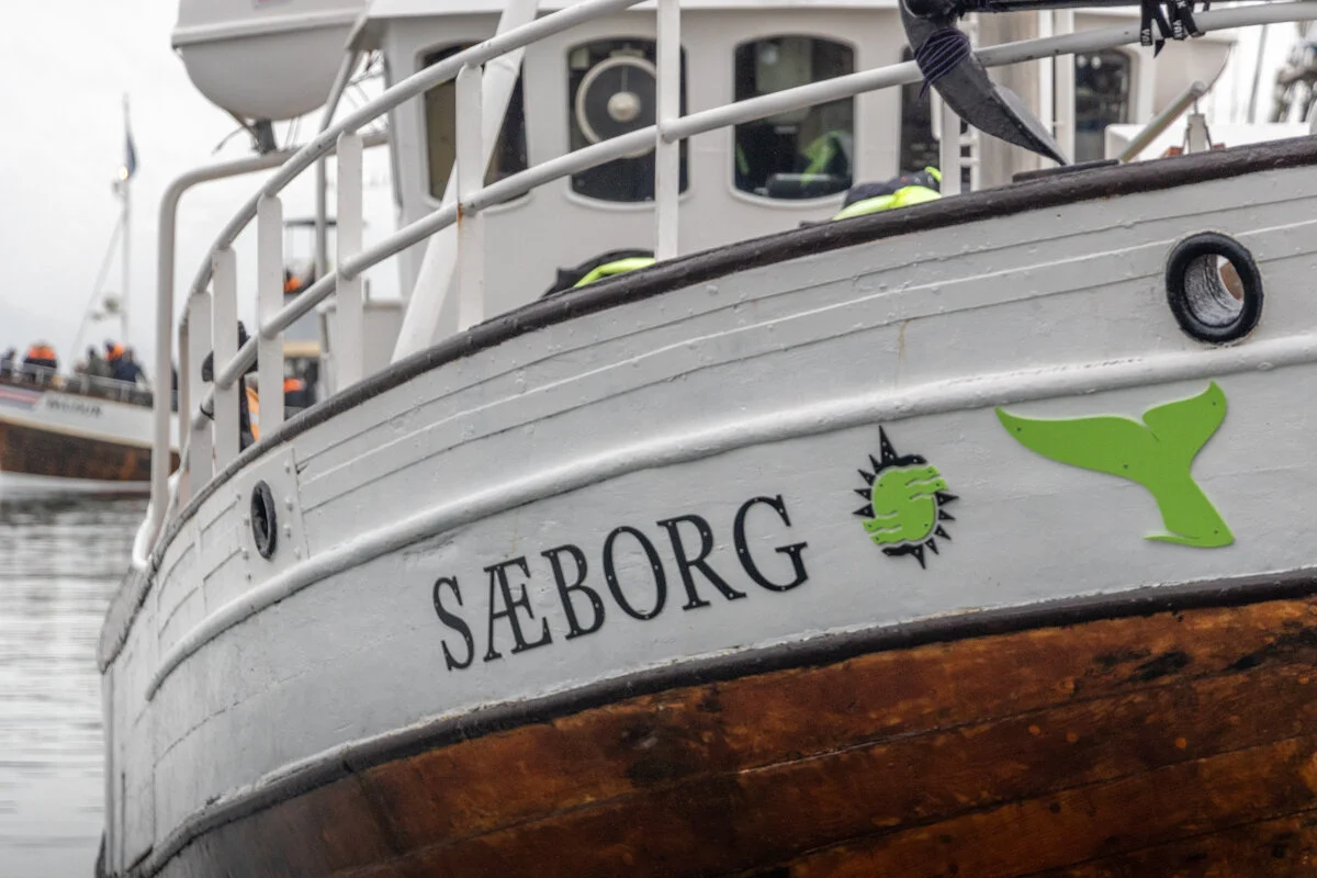 bateau nommé Sæborg avec logo vert
