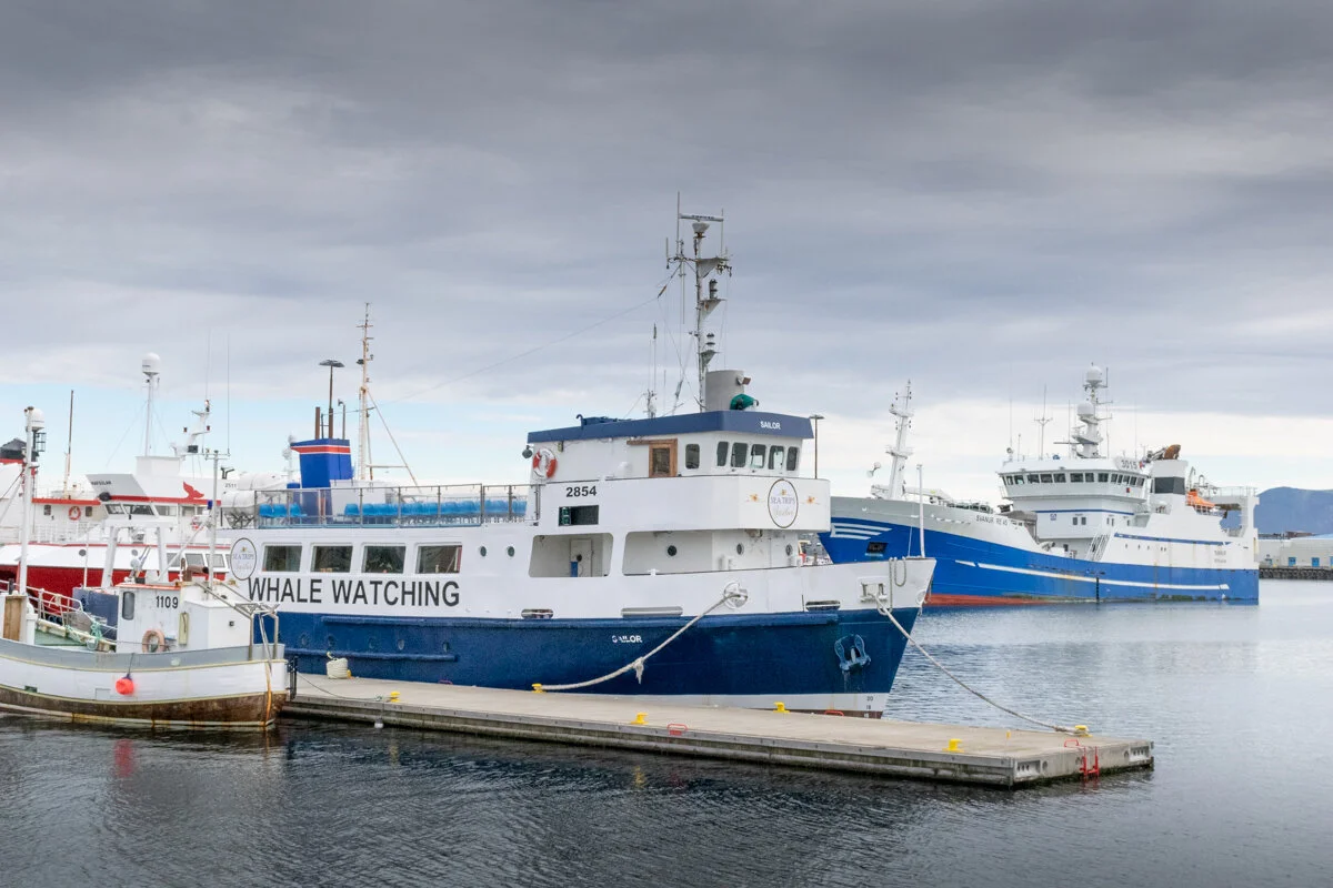 navire bleu et blanc amarré au port avec d'autres bateaux au fond