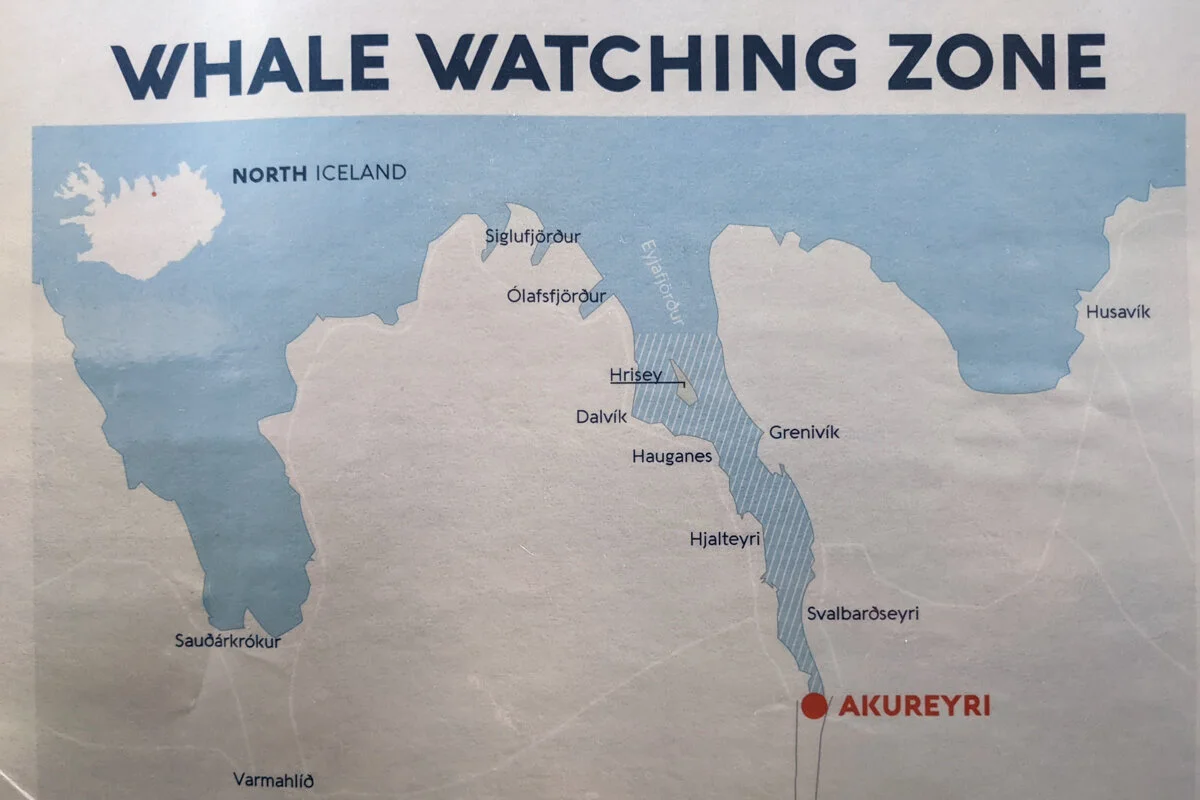 carte de zones d'observation des baleines en Islande