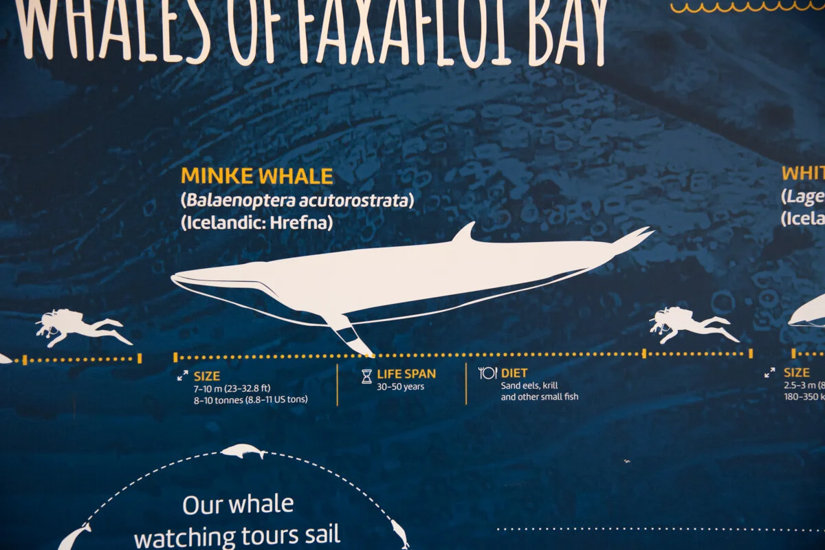 Panneau informatif de la baleine de Minke