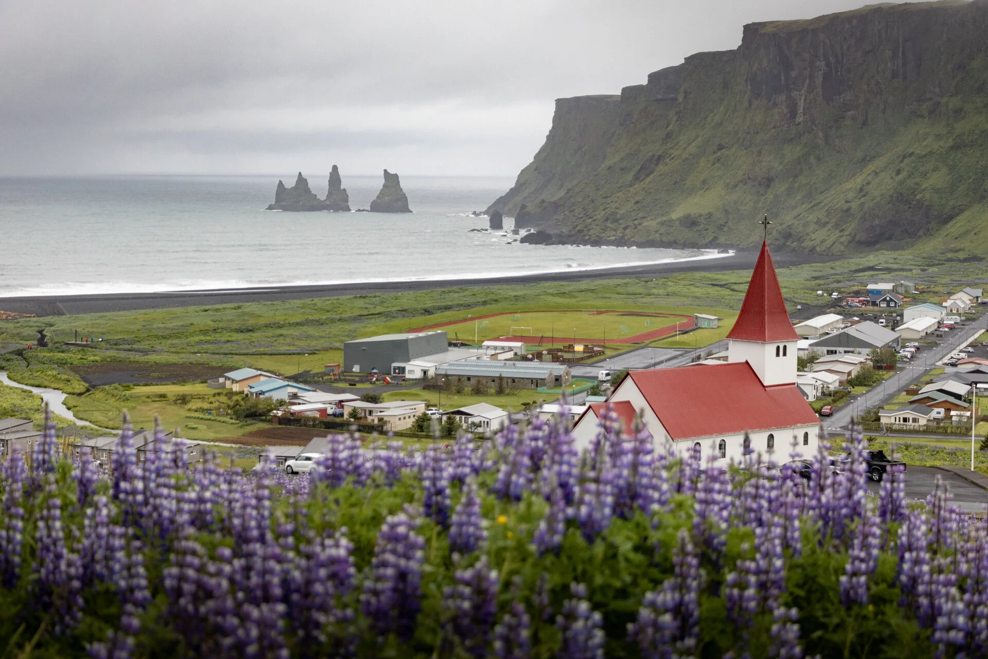 panorama sur Vík í Mýrdal avec son église et l'océan au fond, avec des lupins au premier plan