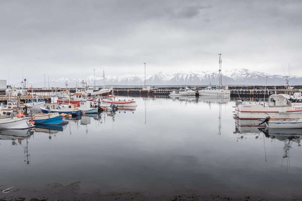 port de Dalvik avec bateaux amarrés et montagne enneigée en arrière-plan