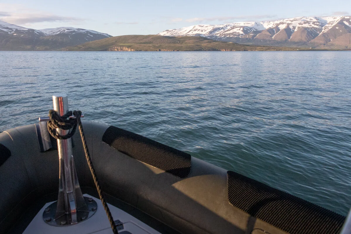 vue depuis le zodiac vers les montagnes enneigées