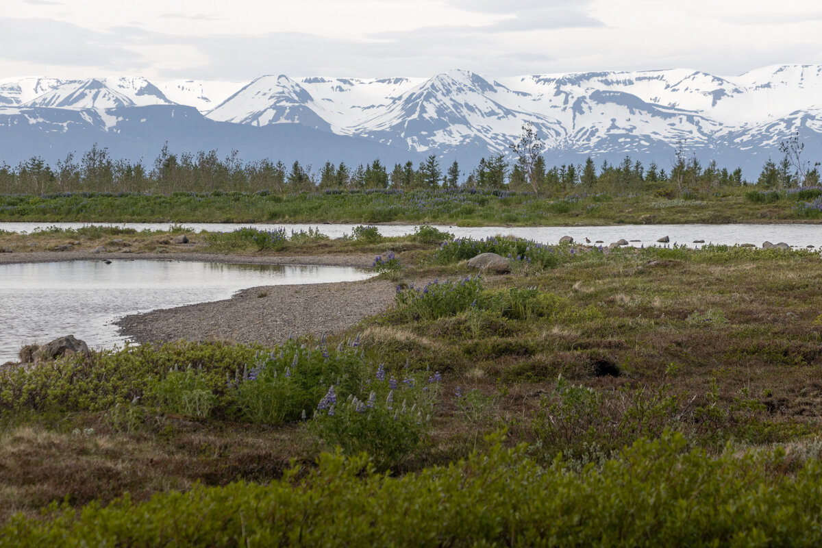 Lac Botnsvatn à Husavik