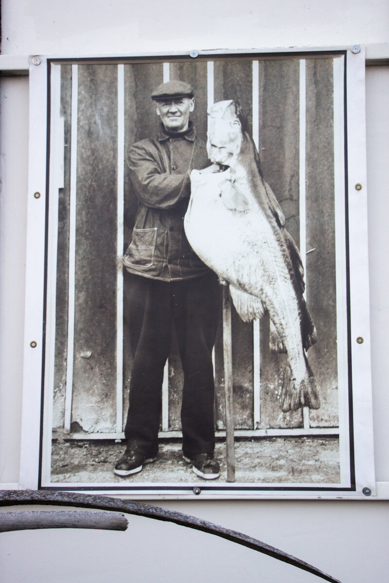 Photo d'un pêcheur dans Husavik