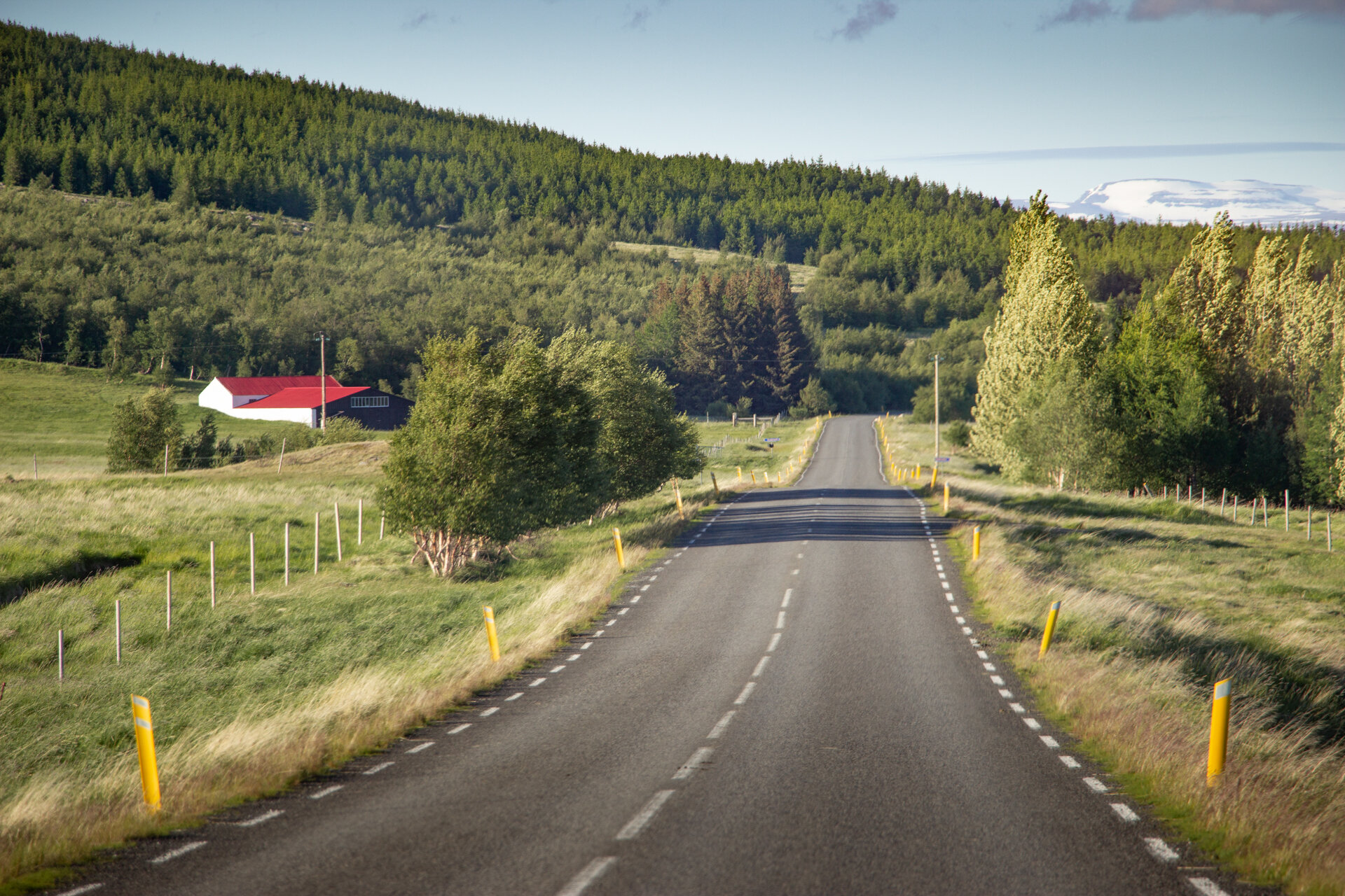 Route dans les environs d'Egilsstadir