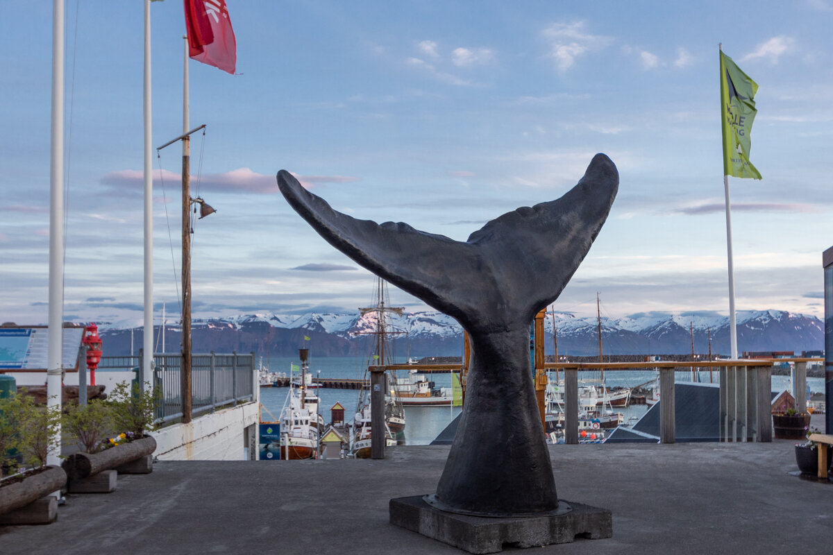 Sculpture de queue de baleine à Husavik