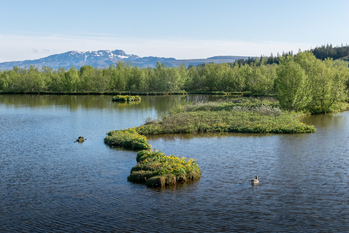 Lac à Thingvellir