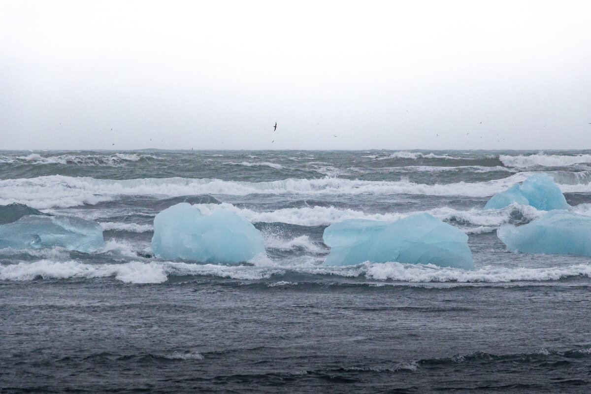 Blocs de glace dans la mer à Jokulsarlon