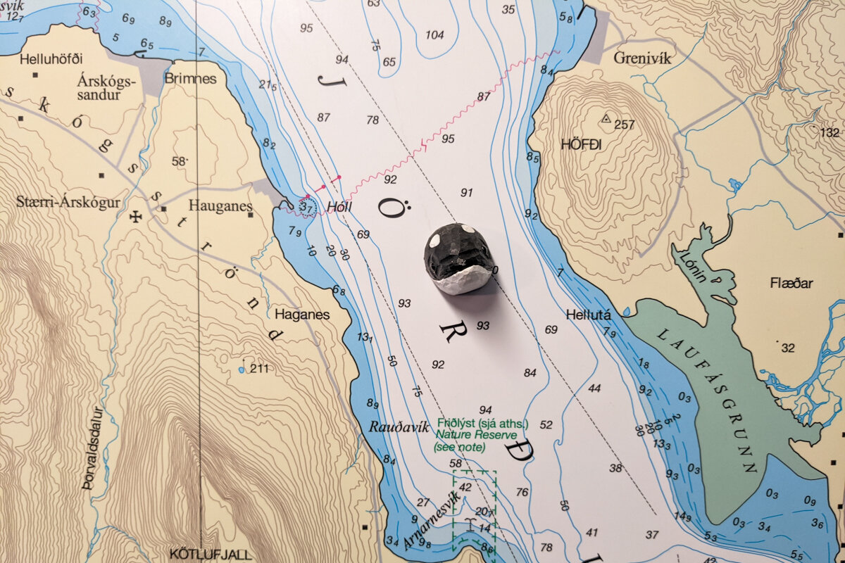 Carte de position de baleines aperçues près d'Akureyri