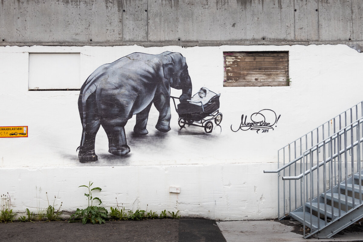 Eléphant en street art à Akureyri