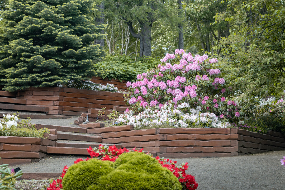 Dans le jardin botanique d'Akureyri