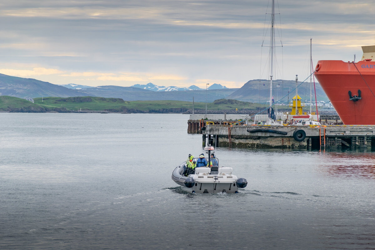 Dans le port de Reykjavik