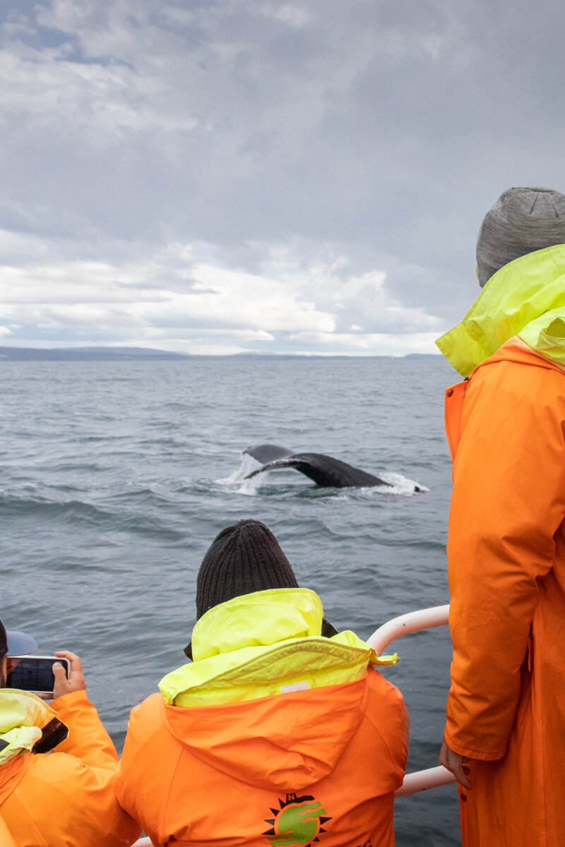 Touristes devant une queue de baleine