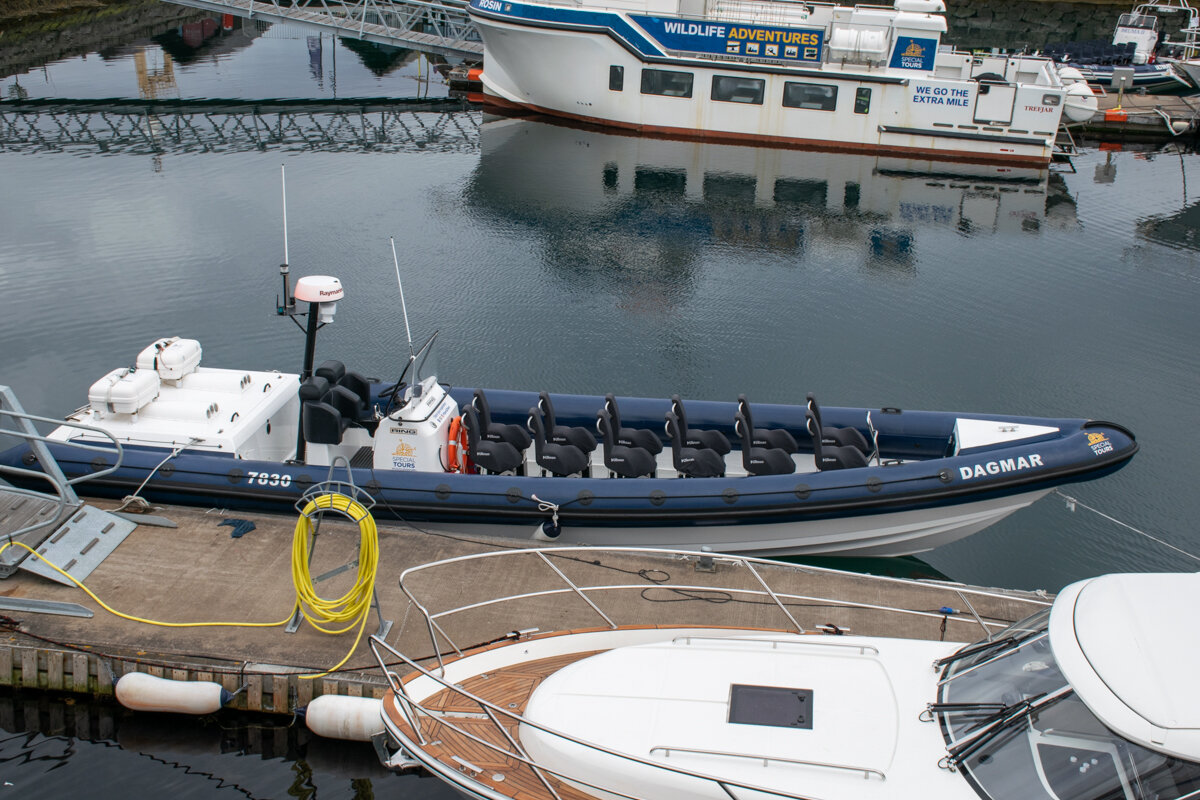 Accès au bateau et zodiac pour la sortie baleine à Reykjavik