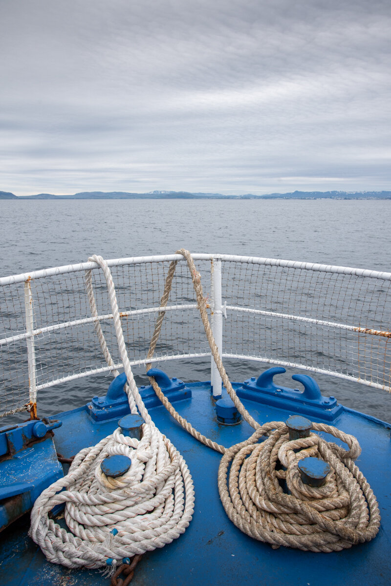 Avant du bateau pour la sortie baleines à Reykjavik