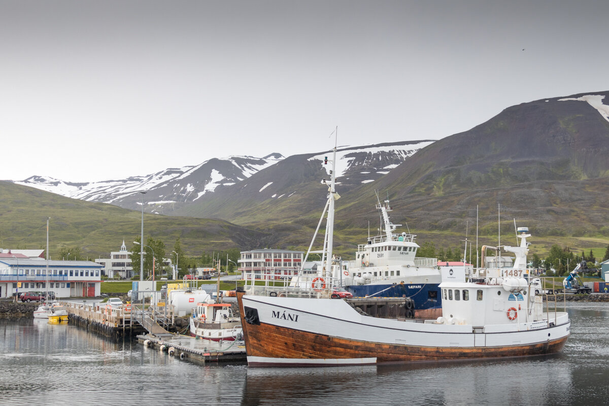 Bateau pour une excursion baleine en Islande