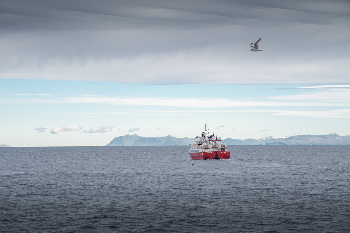 Bateau d'observation des baleines dans la baie à Reykjavik