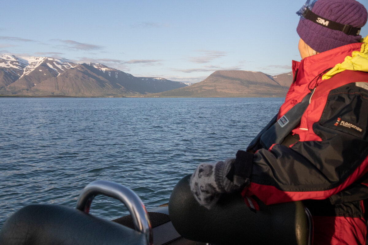 Observation des baleines au large d'Akureyri