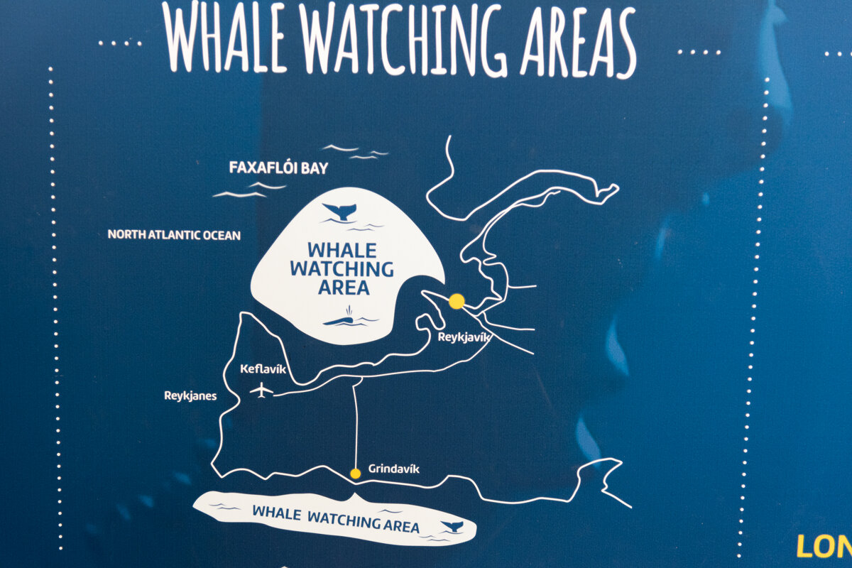 Panneau des régions d'observation des baleines dans la baie de Faxafloi