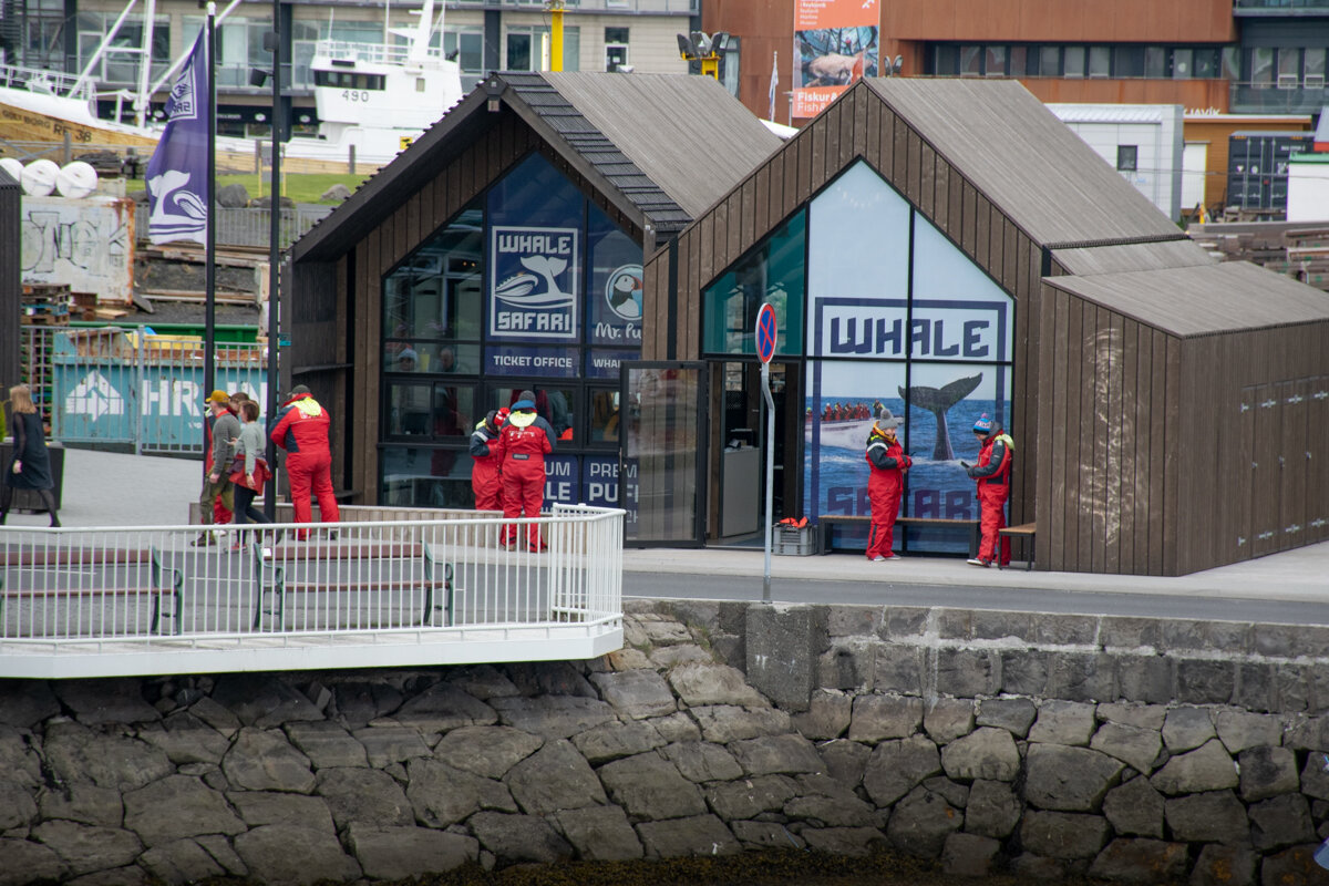 Port pour l'embarquement de l'excursion baleines à Reykjavik