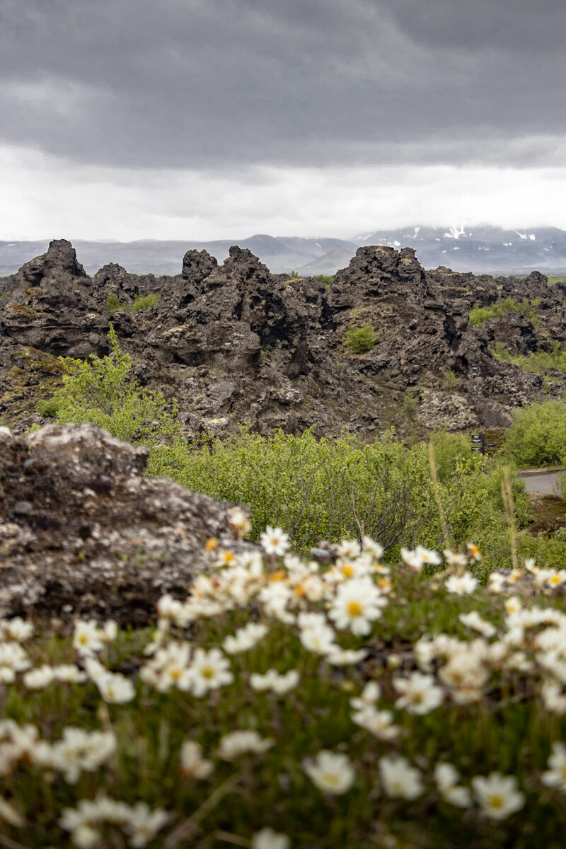 Paysages à Dimmuborgir en Islande