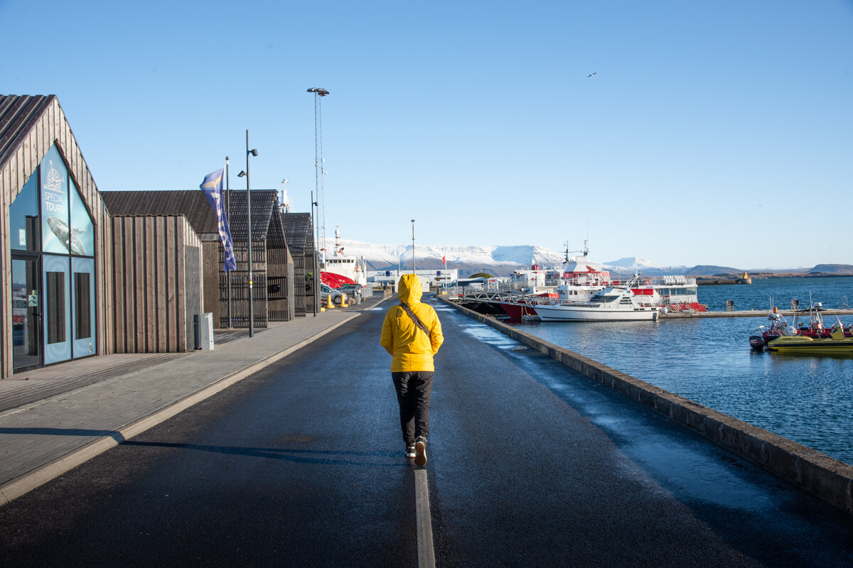 Accès à la sortie baleines dans le port de Reykjavik